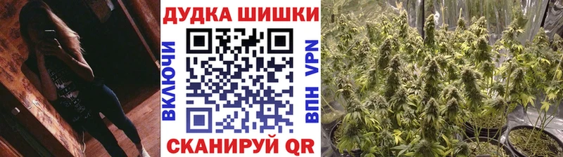 Виды наркотиков купить Каргополь ГАШ OMG tor МДМА Мефедрон Cocaine