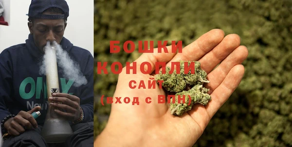 крисы Костерёво