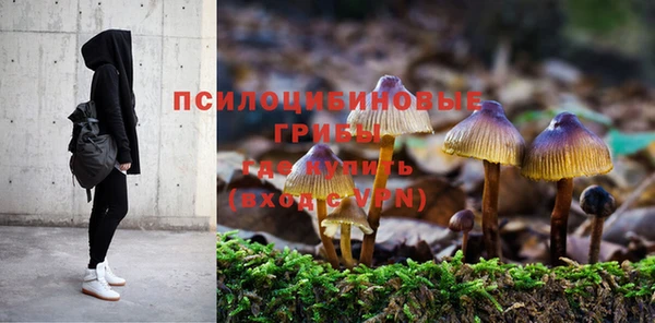 стаф Зеленодольск