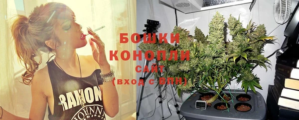 стаф Зеленодольск