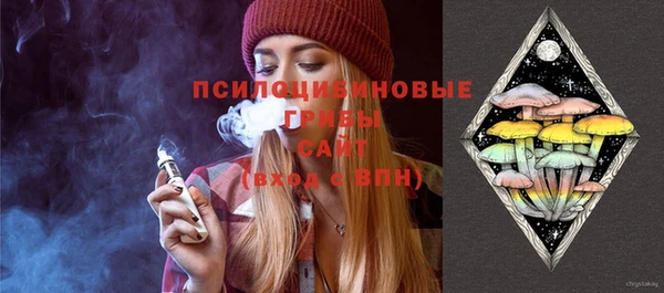 стаф Зеленодольск