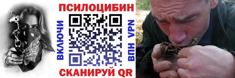 как найти   Каргополь  Псилоцибиновые грибы мицелий 